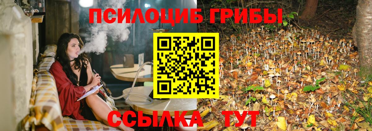 Орск  Галлюциногенные грибы Psilocybe  Вход с VPN 